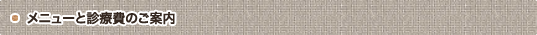 メニューと診療費のご案内