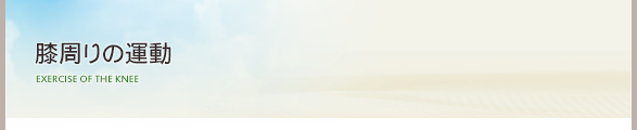 膝の運動