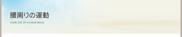腰の運動